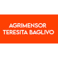 Agrimensora Teresita Baglivo