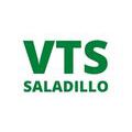 Verificación Técnica Saladillo