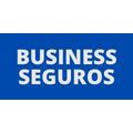 Business Seguros