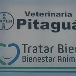 Veterinaria Pitagua