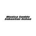 Musica Sonido Sebastian Ochoa
