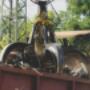# 5