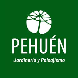 Pehuén