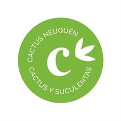 Cactus Neuquén