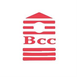 Instituto de inglés Bcc
