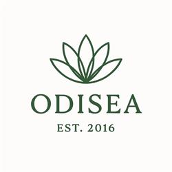 Odisea Mujer