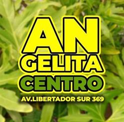 Floreria y Planteria Angelita Centro
