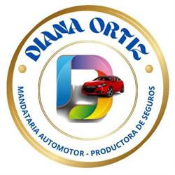 Gestoria Del Automotor Diana Ortiz