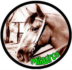 Granja Milagros