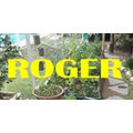 Vivero Rogerhuertero