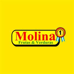 Molina frutas y verduras