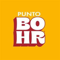Punto Bohr