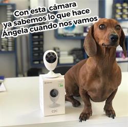 FUSIONFE Alarmas