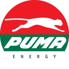 Puma Aliso SRL