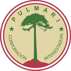 Corporación Interestadual Pulmari