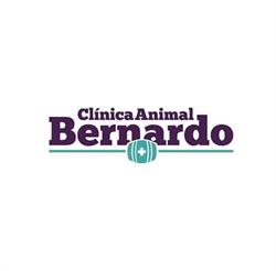 Clínica Animal Bernardo