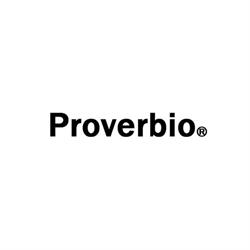Proverbio