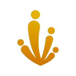 Krake Asesores de Seguros
