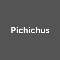 Pichichus