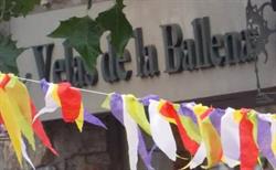 Velas de la Ballena - Mar del Plata