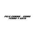 PELUQUERIA CANINA - COMO PERRO Y GATO