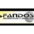 Fandos - Neumáticos & Servicios - Alineadora 3d