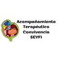 Convivencia Seyfi