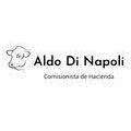 Aldo Di Napoli
