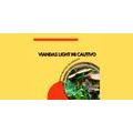 Viandas Light Mi Cautivo