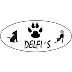 Centro Medico Veterinario Delfi's