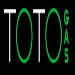 Toto Gas de Ángel Torres Mora