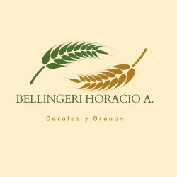Bellingeri Horacio a