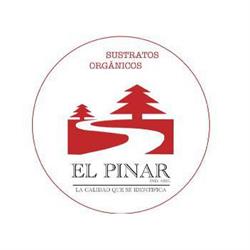 El Pinar