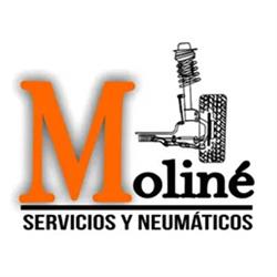 Moline Servicios y Neumáticos