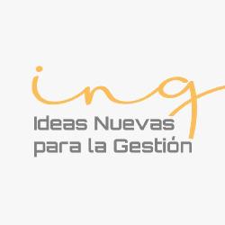 Ing Consultora
