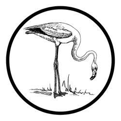 Flamingo Postres