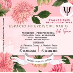 Centro Interdisciplinario del Sur