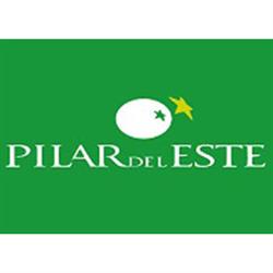 Pilar del Este