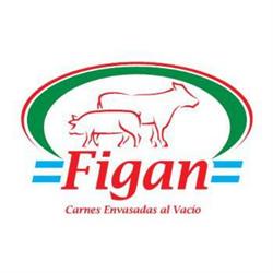 Figan