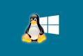 Instalacion de Windows Linux