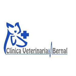 Clínica Veterinaria Bernal