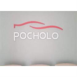 Mecánica Pocholo