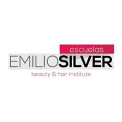 Escuelas Emilio Silver