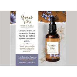 Gustavo Girardi Terapia Floral Meditación  Gassho