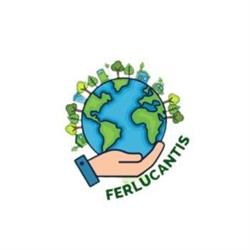 Ferlucantis