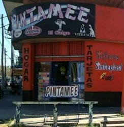 Pintamee