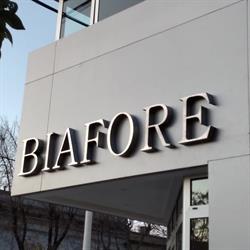 Organización Biafore