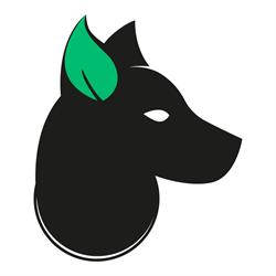 Perro Verde Cantina