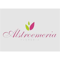 Florería Alstroemeria