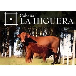 La Higuera SA